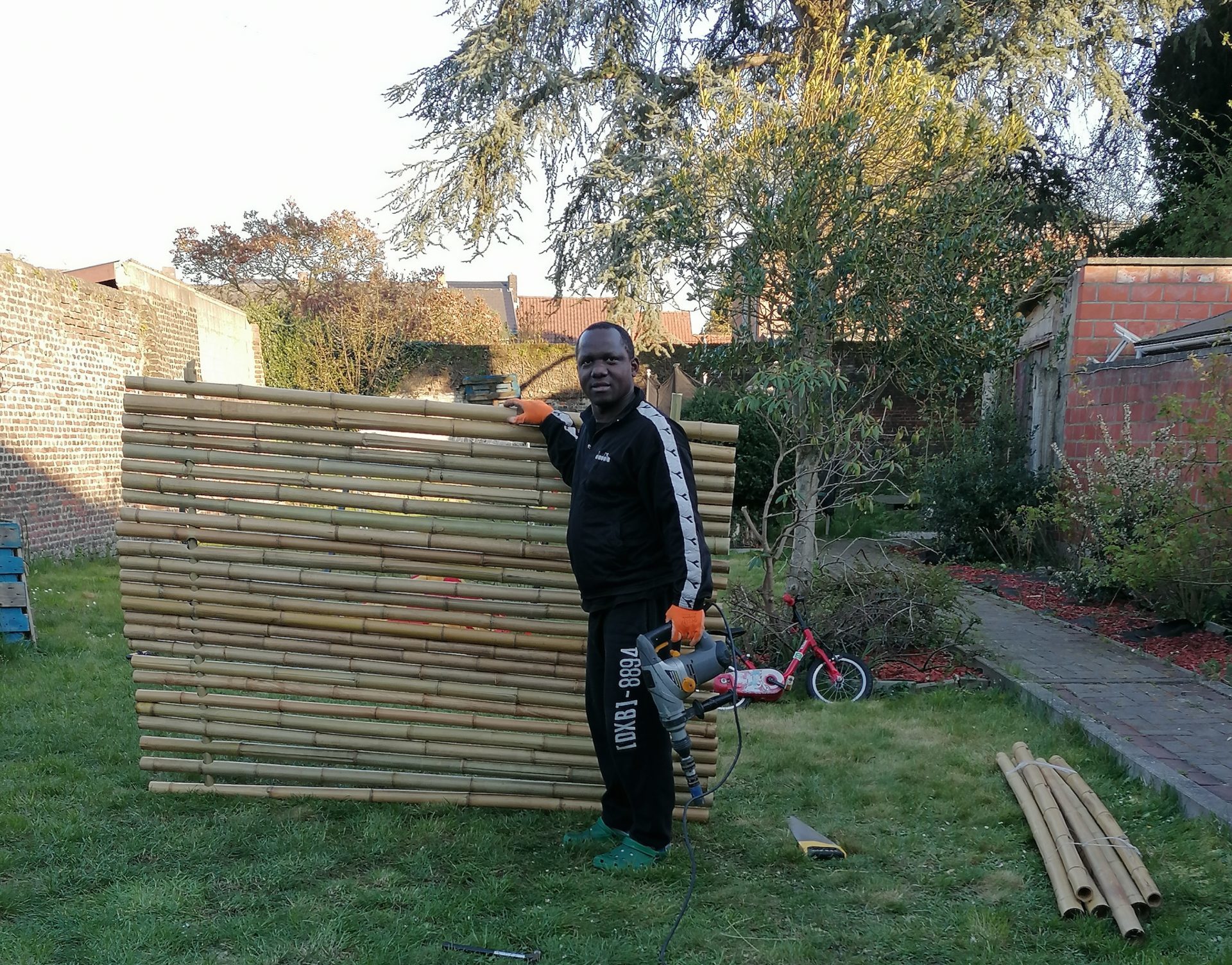 Bamboo fencing -  France